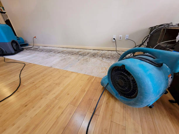 Professional Water Extraction technician working in Sulphur Springs, OH